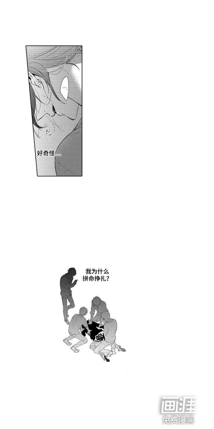 第21章：阴招