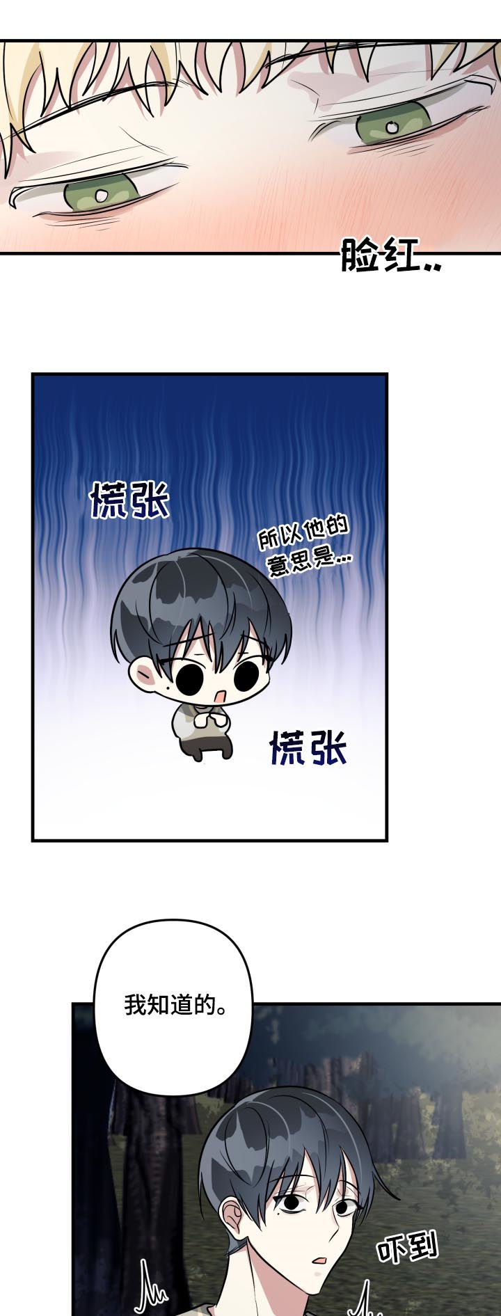 第44章：表白