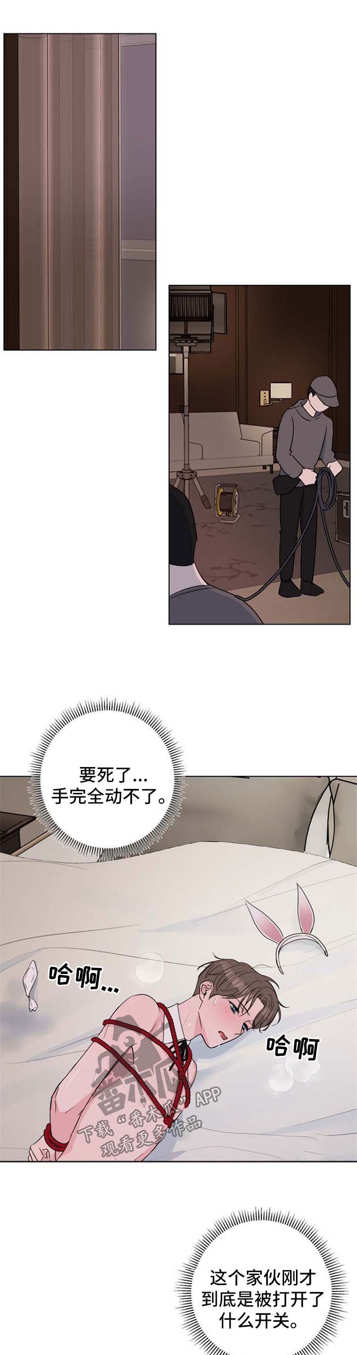 第23章：驯服