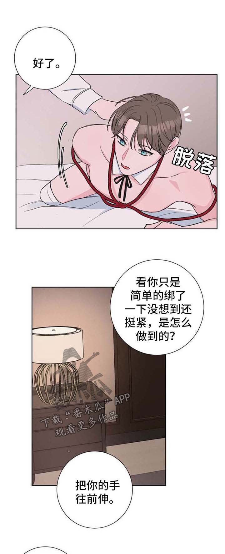 第23章：驯服