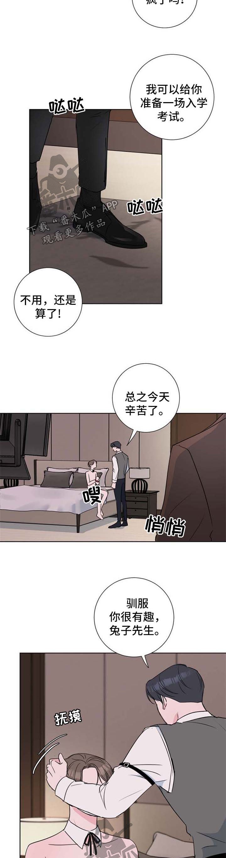 第23章：驯服