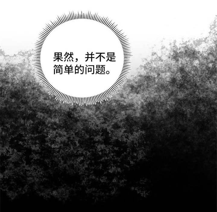 第25章：分析