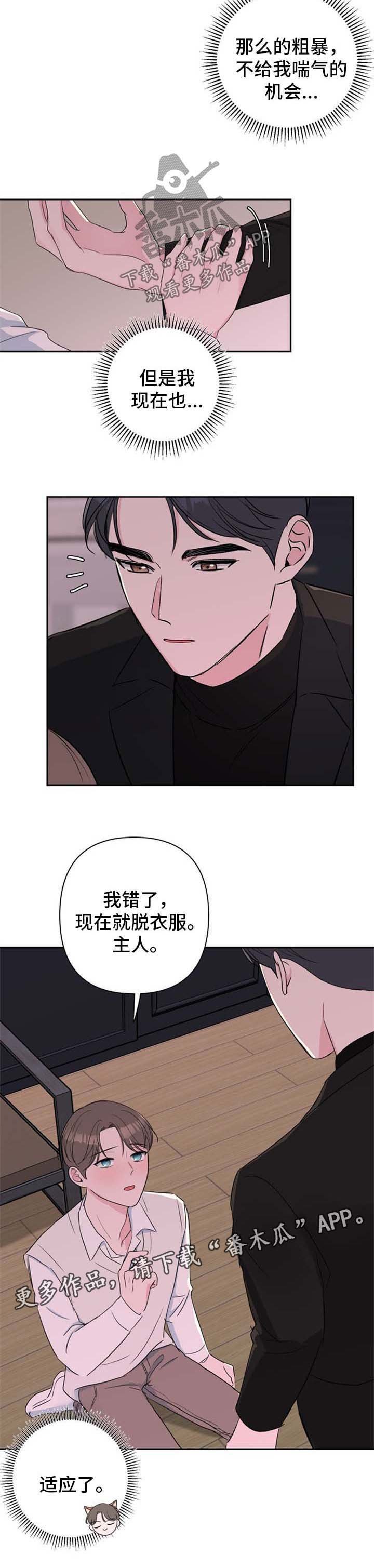 第27章：适应了