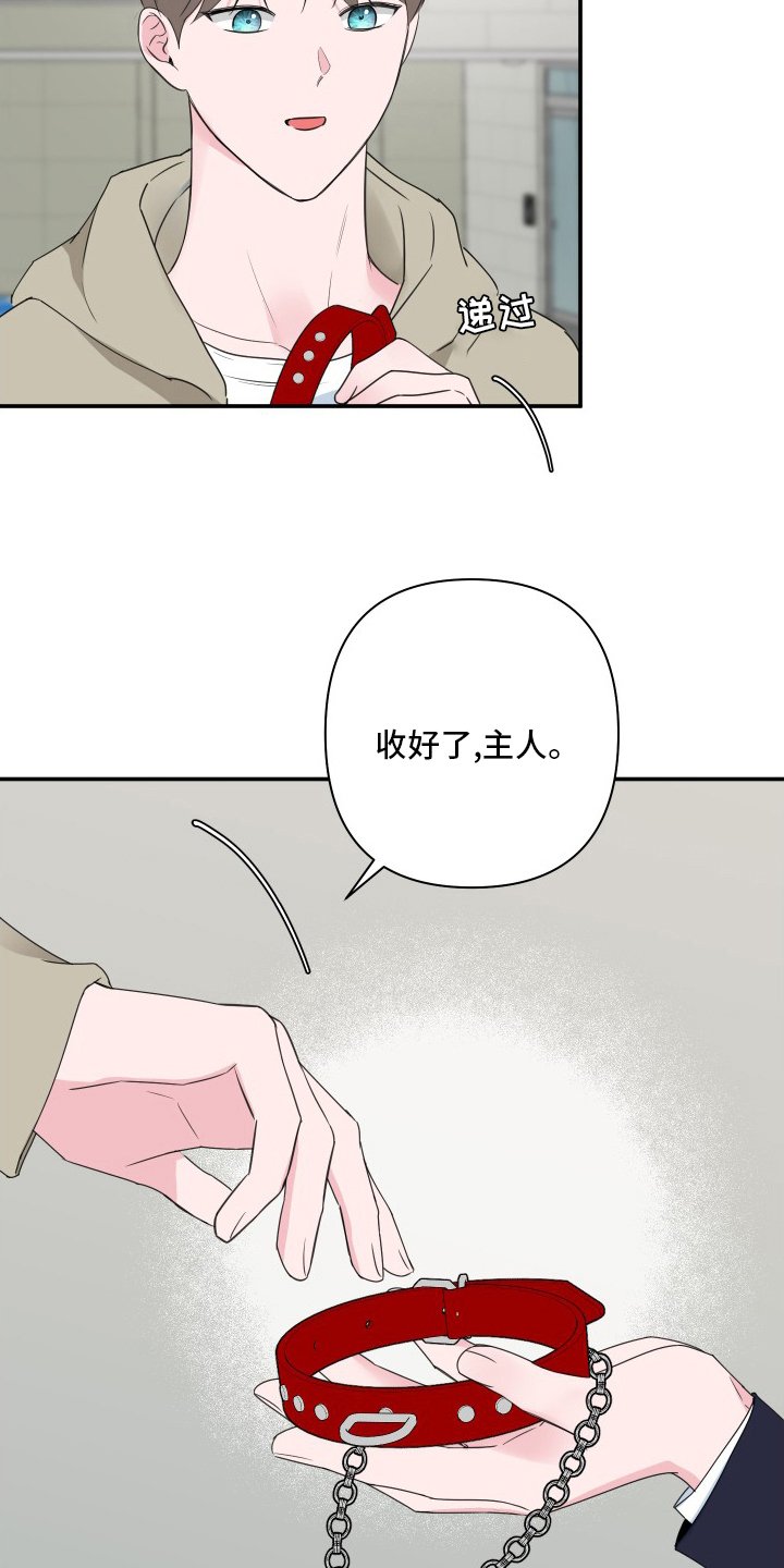 第46章：【第二季】恼火