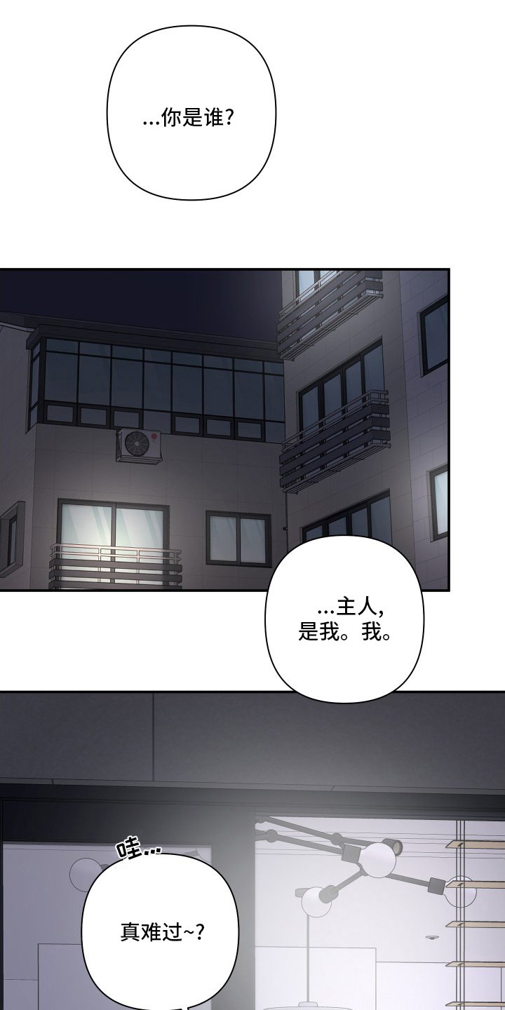 第48章：【第二季】准备