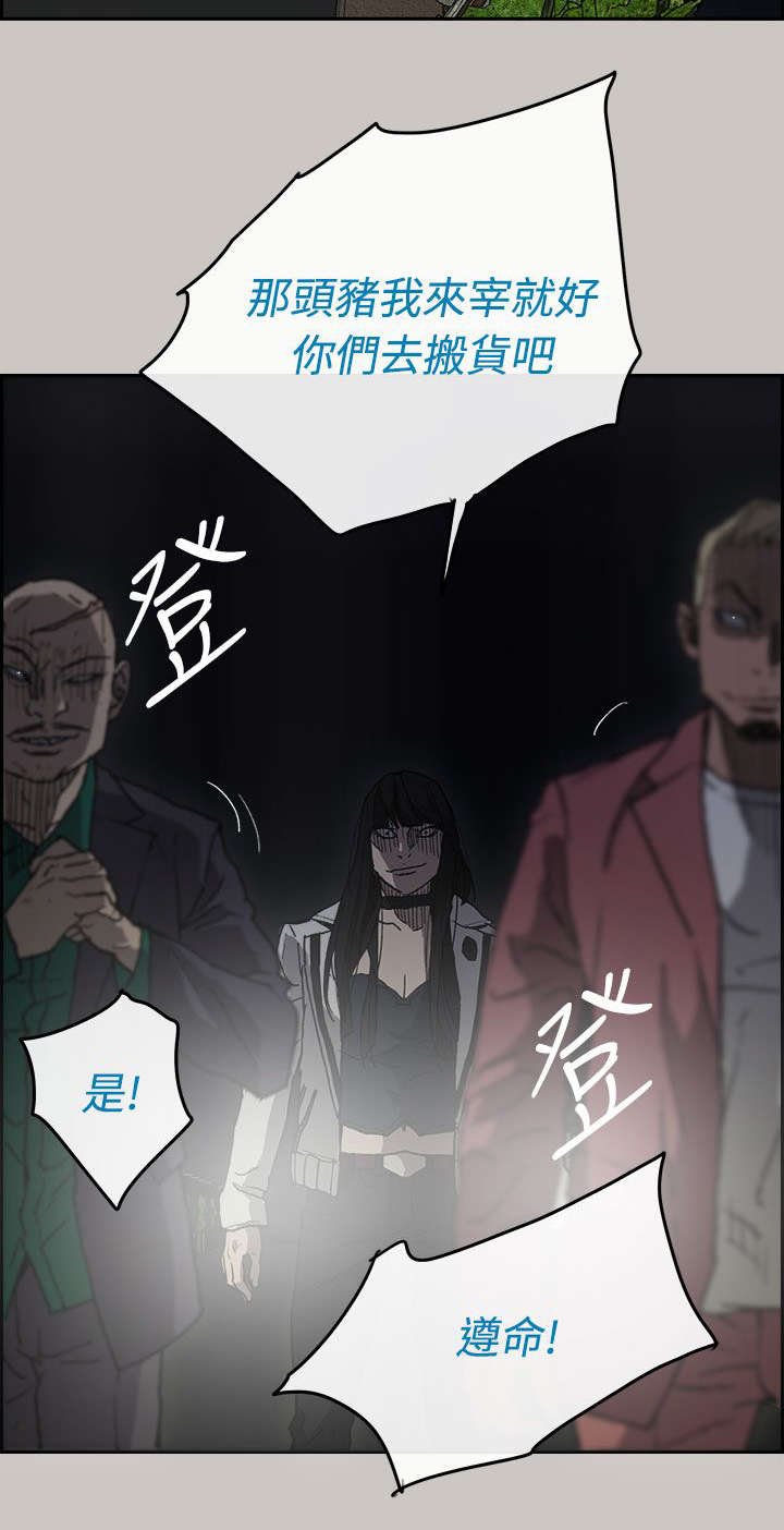 第71章：绝对不会输