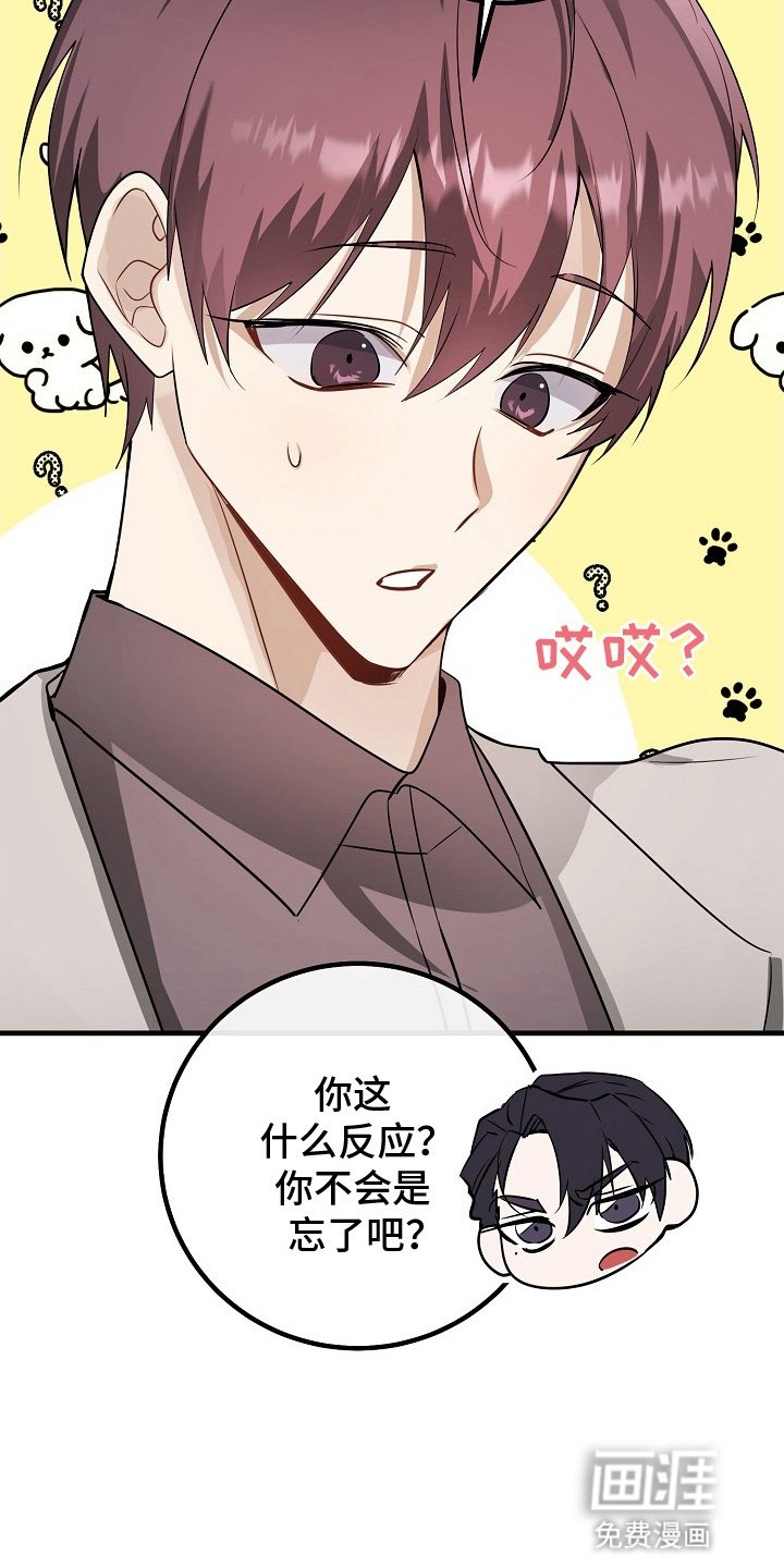 第5章：跟踪狂