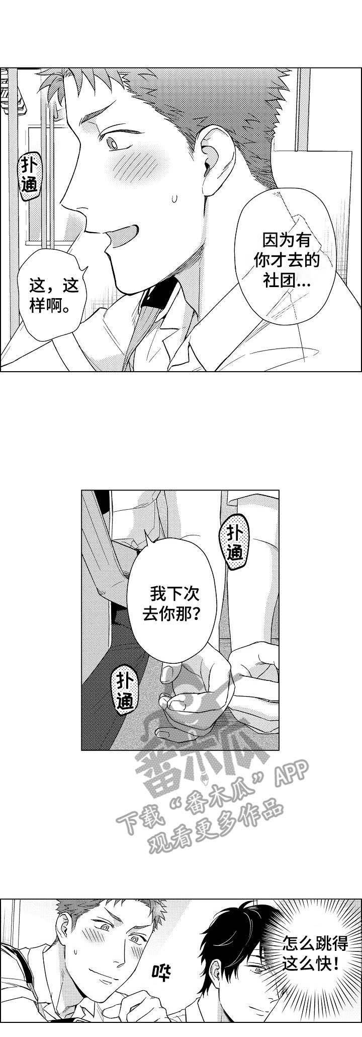 第14章：咨询