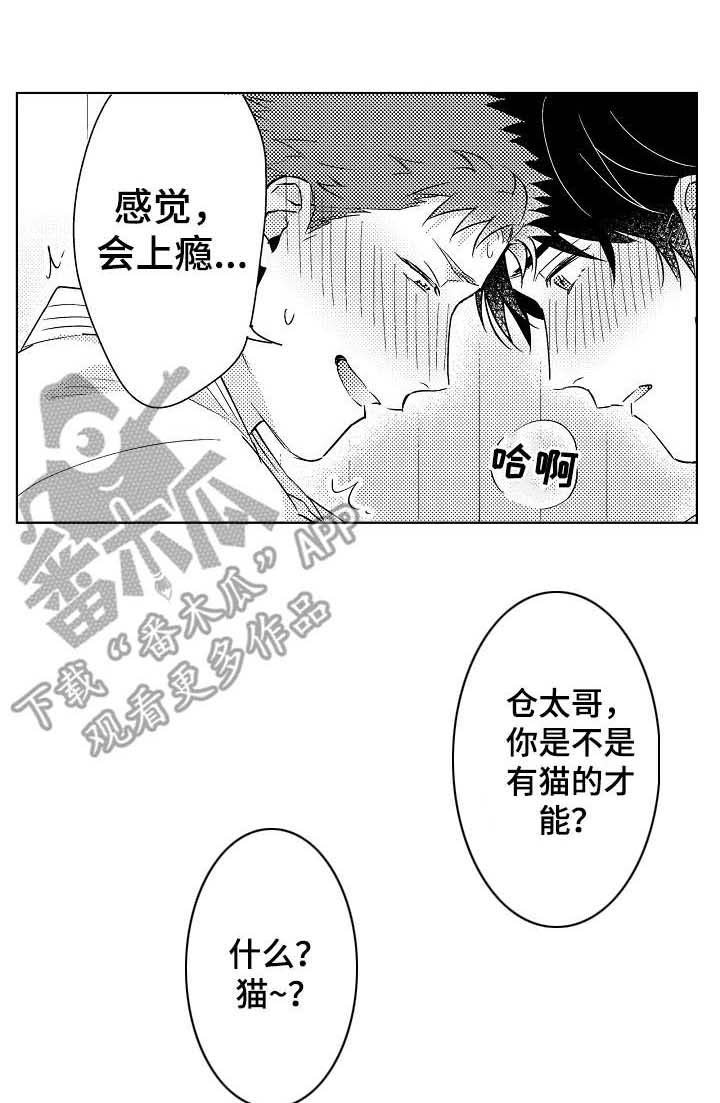 第6章：因为喜欢