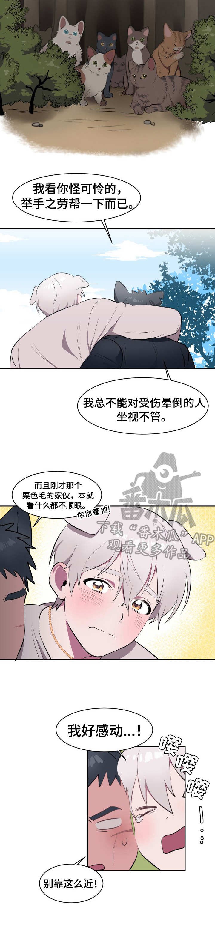 第2章：收留