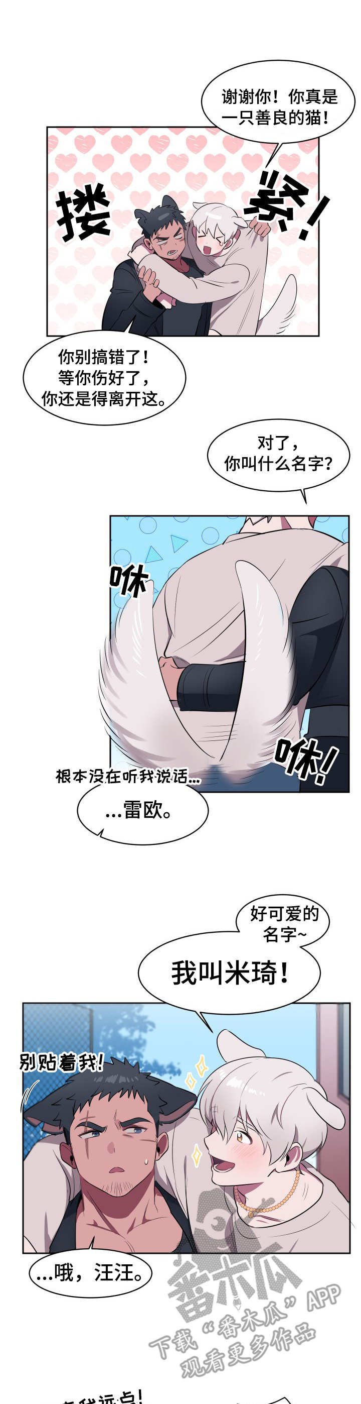 第2章：收留