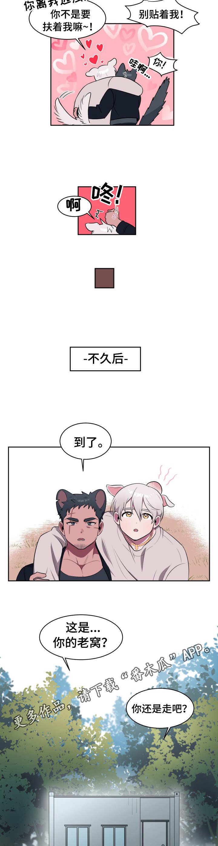 第2章：收留