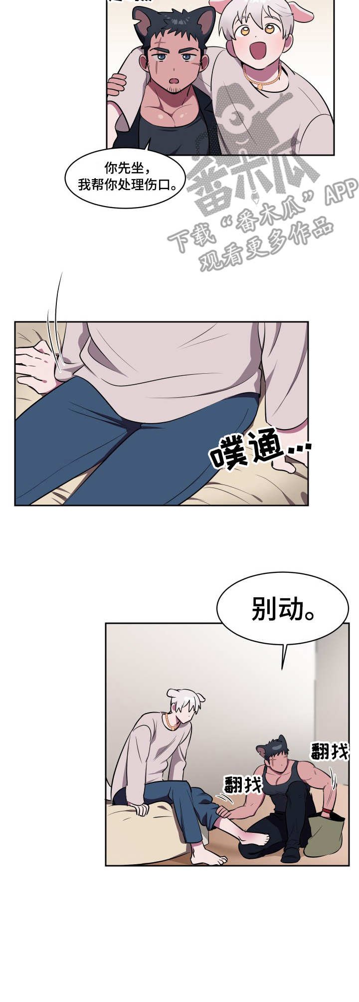 第2章：收留