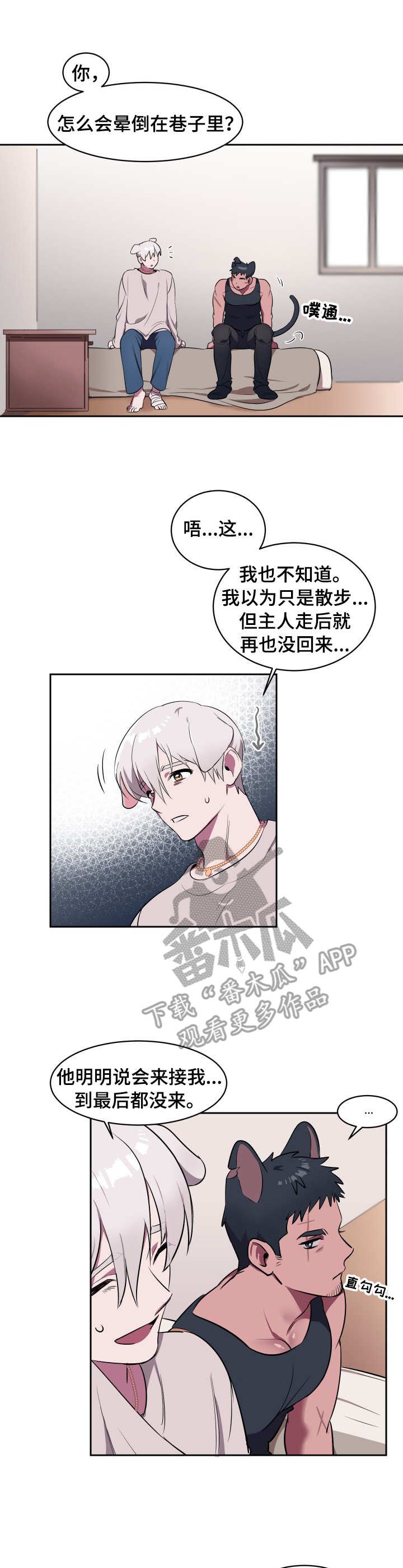 第2章：收留