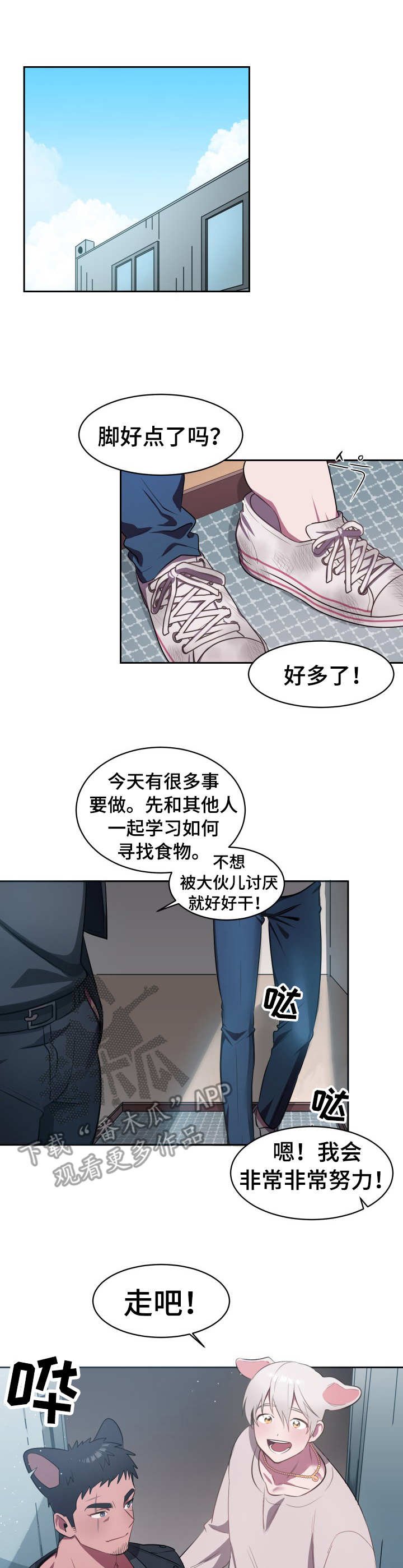 第3章：寻找食物