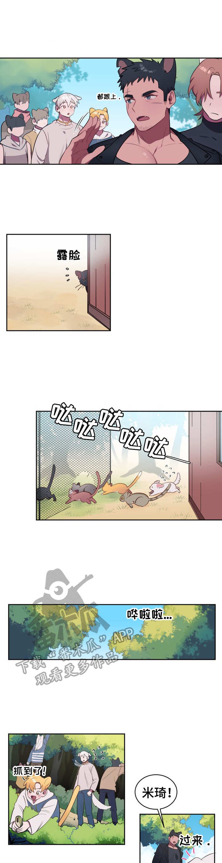 第3章：寻找食物