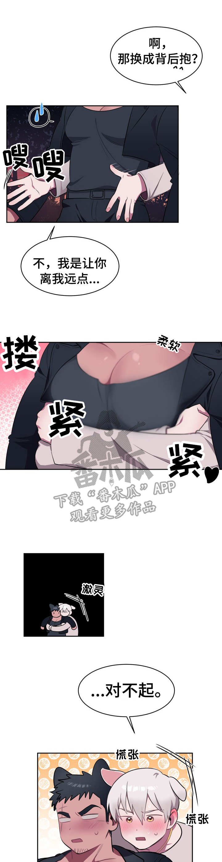 第4章：新项圈