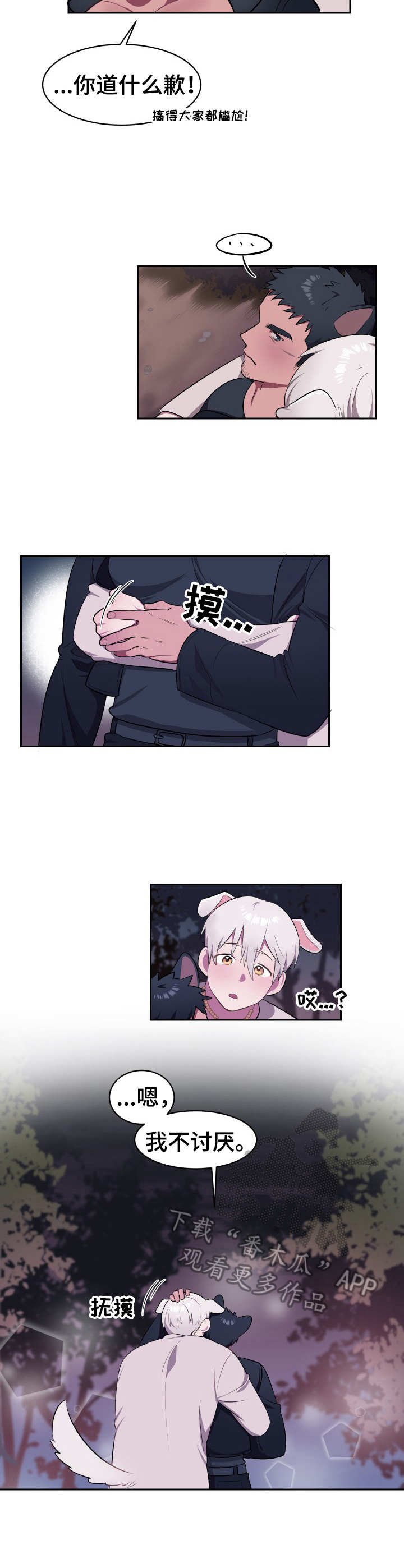 第4章：新项圈