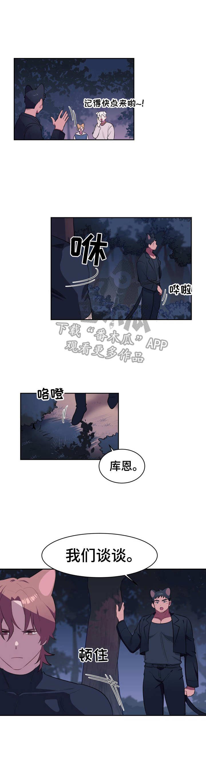 第4章：新项圈
