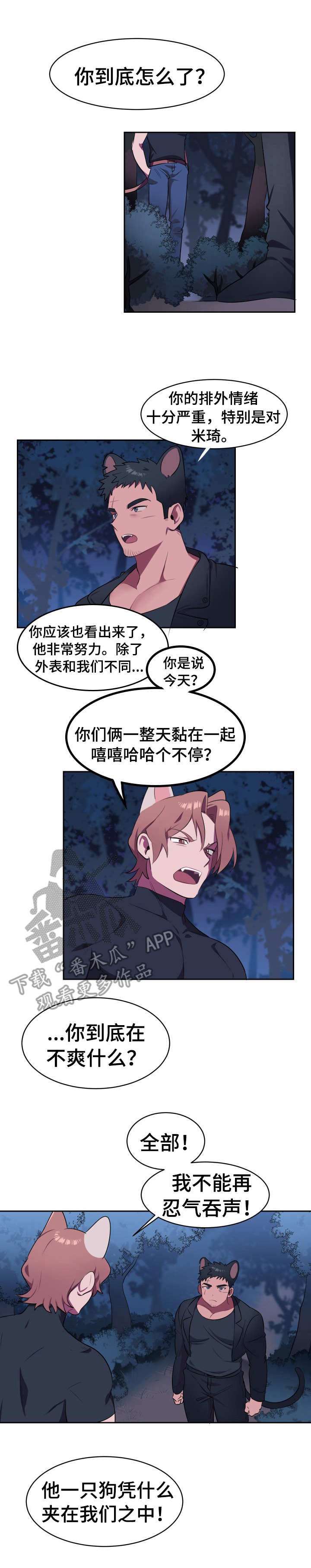 第4章：新项圈