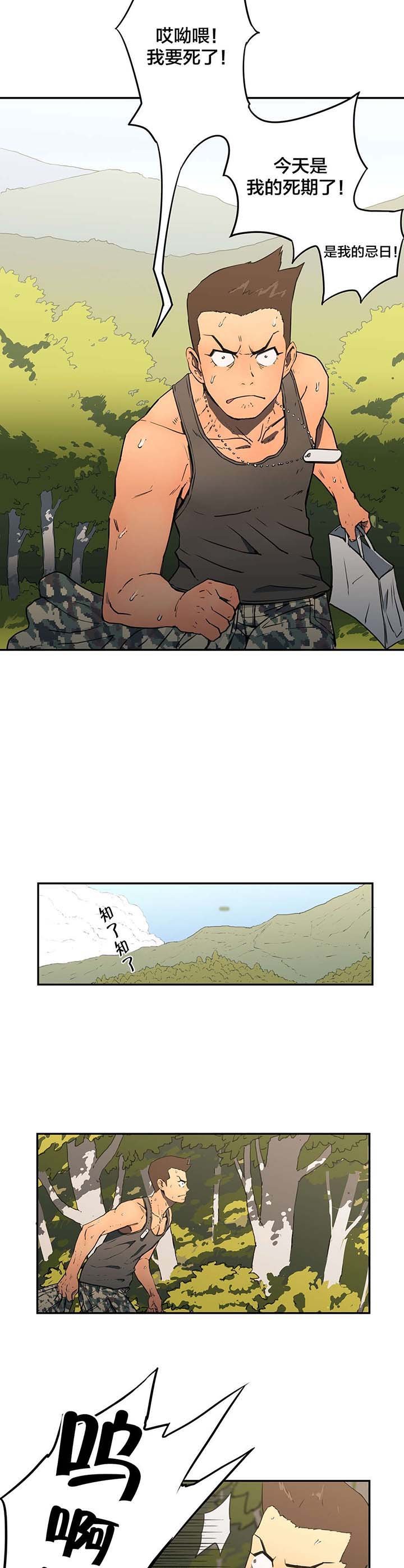 第11章：寻访