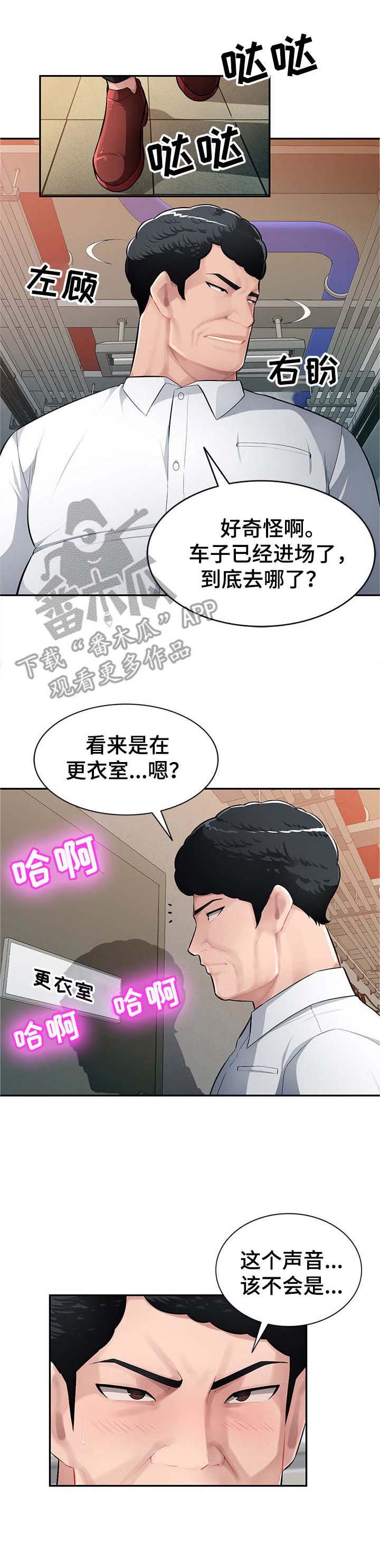 第17章：替代品