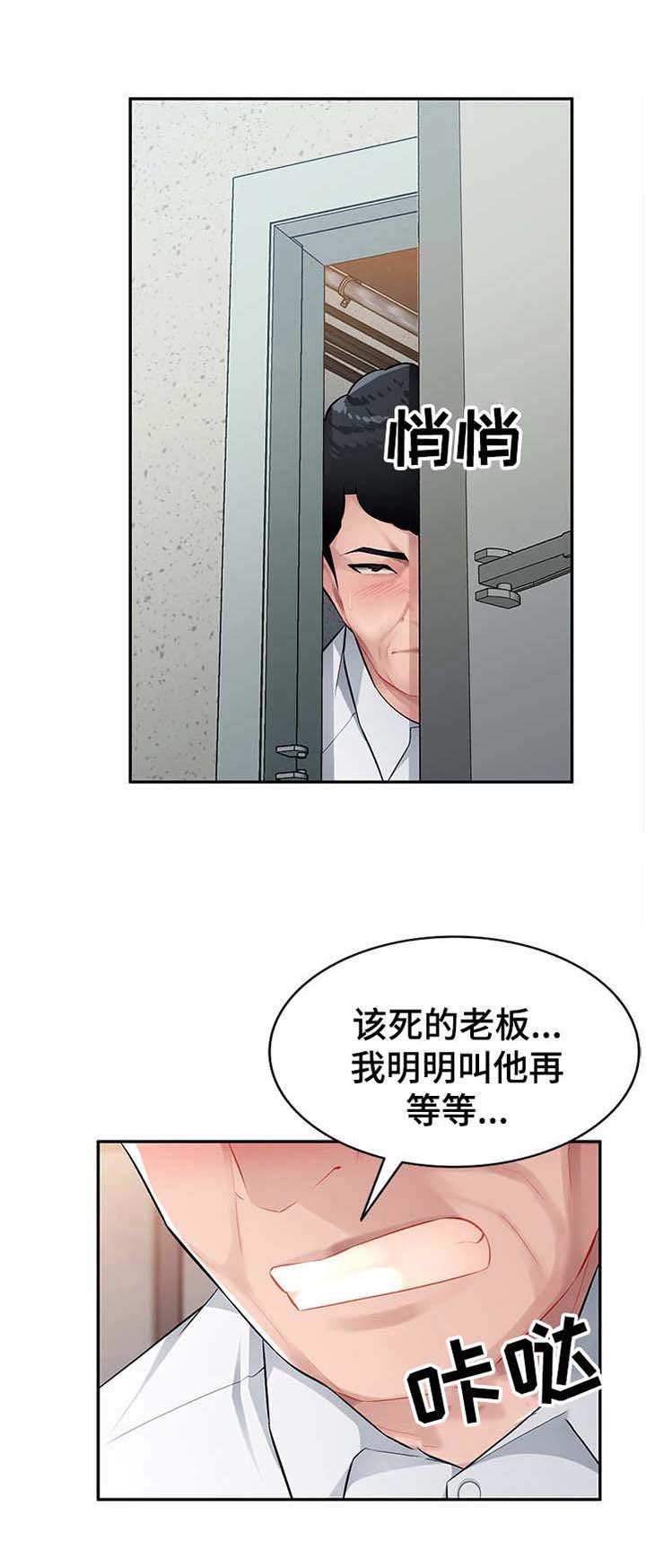 第17章：替代品