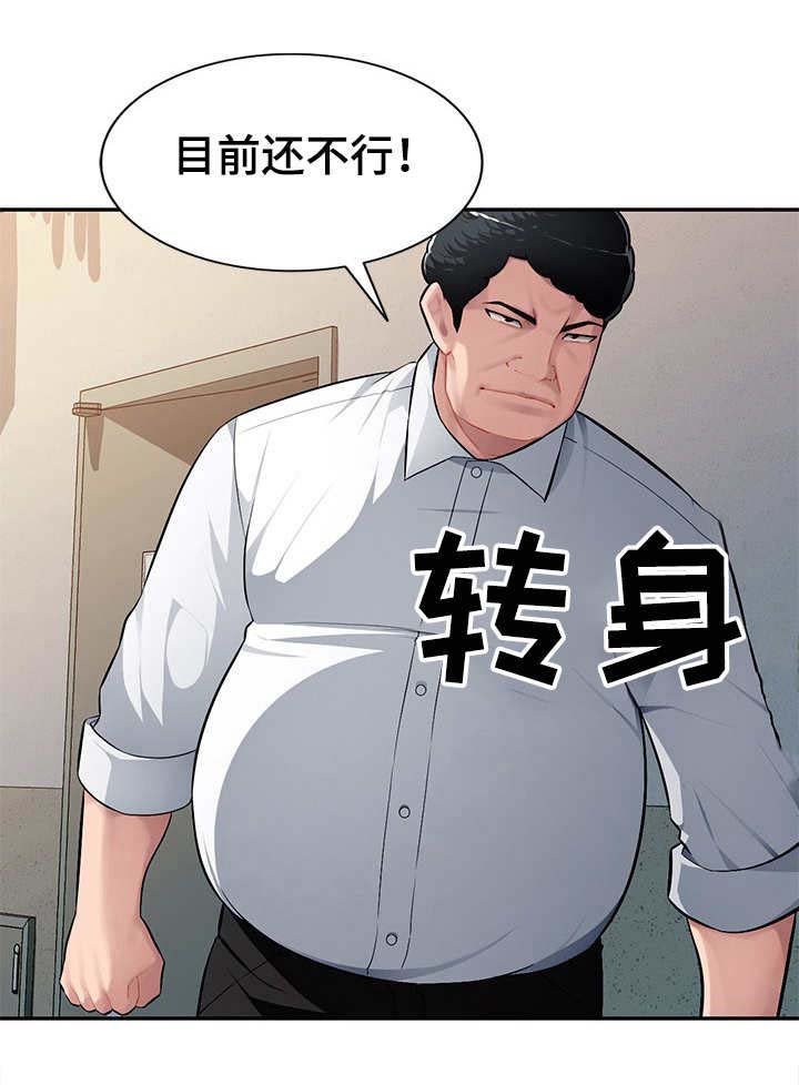 第17章：替代品