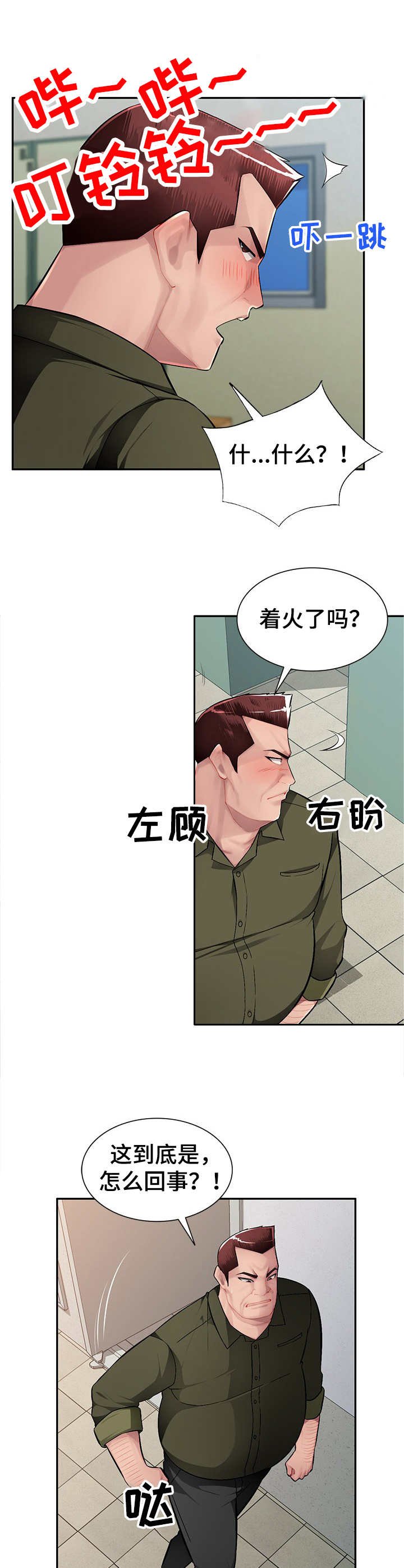 第17章：替代品