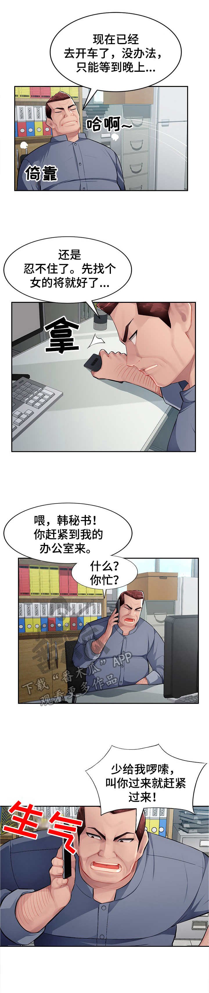 第17章：替代品