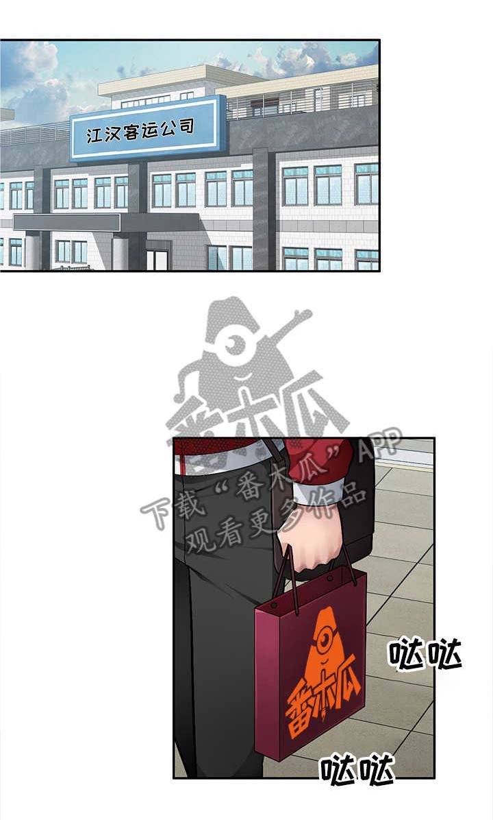 第17章：替代品