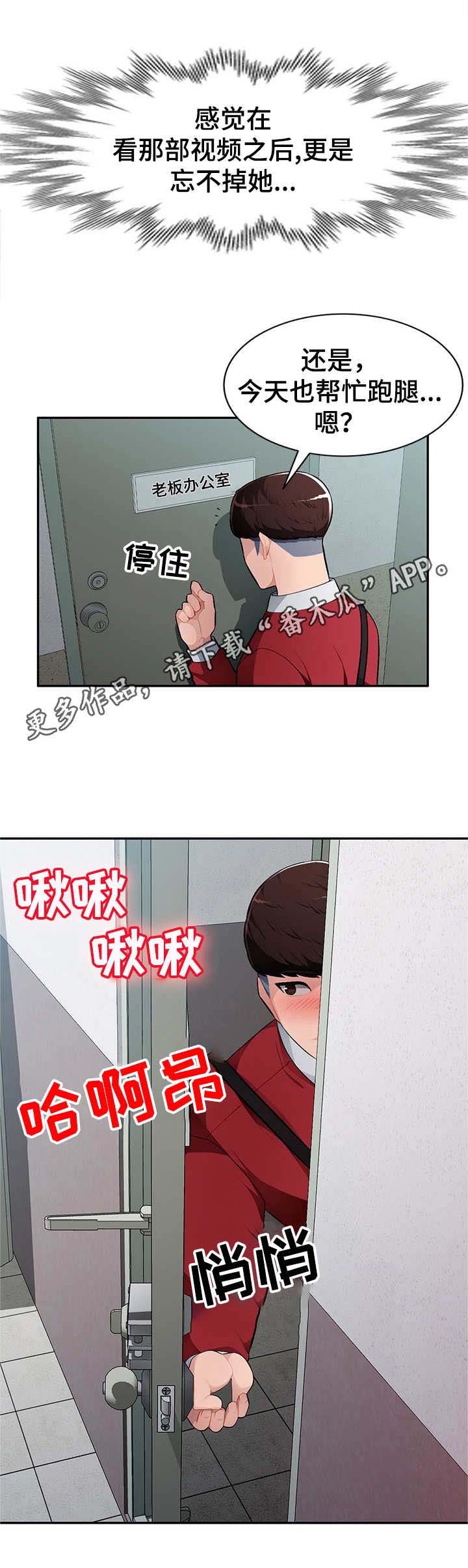第17章：替代品