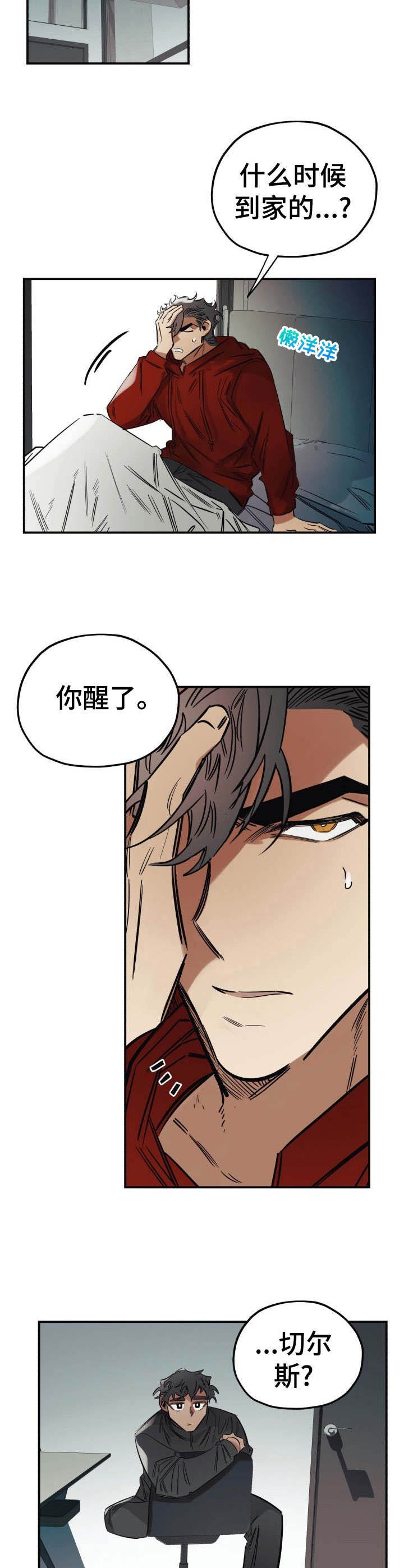 第13章：呕吐