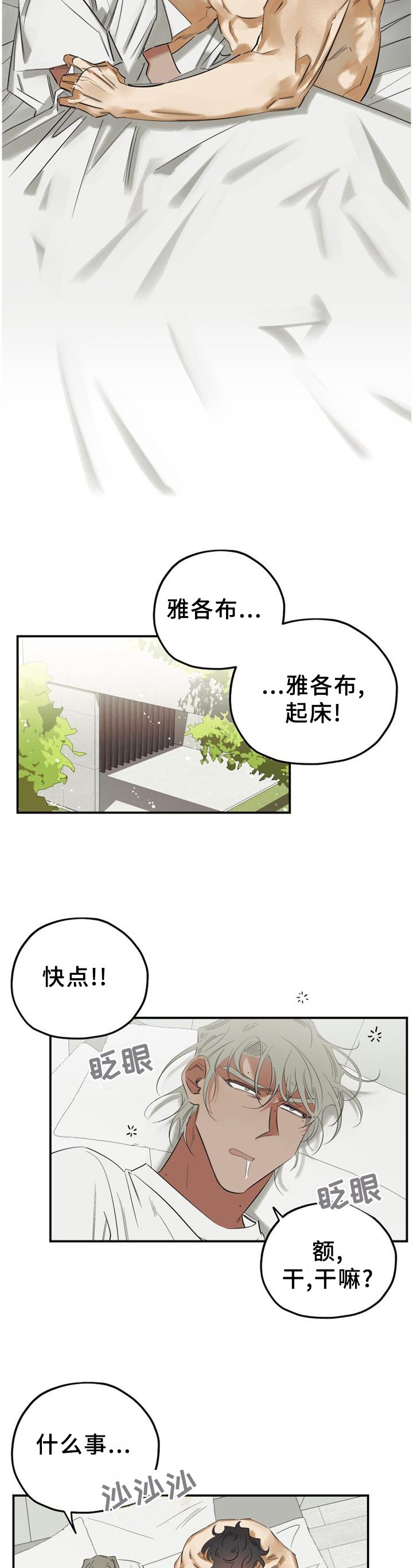 第45章：【完结】公布