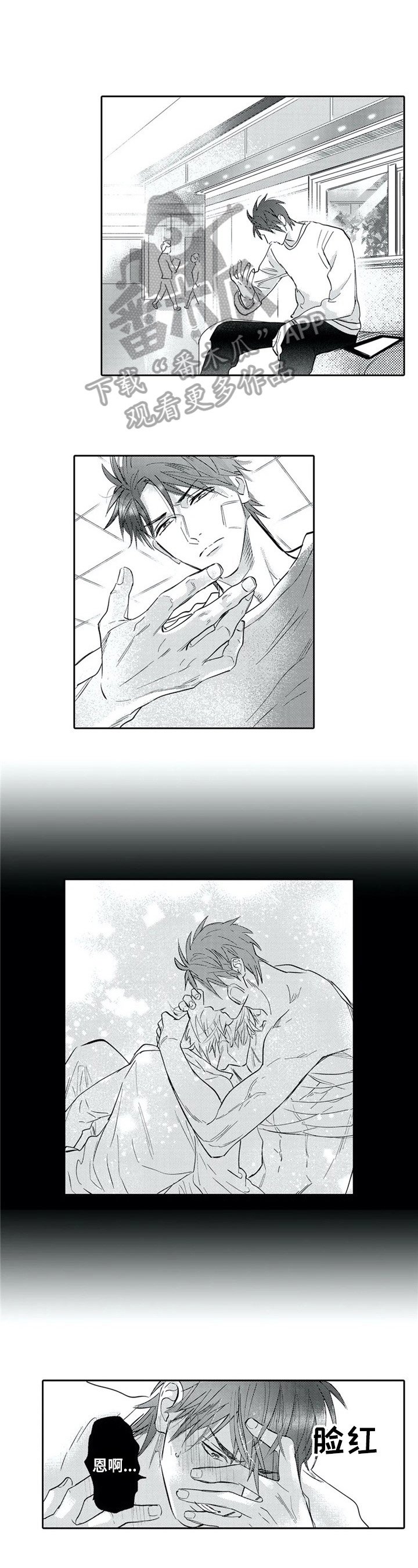 第12章：期望