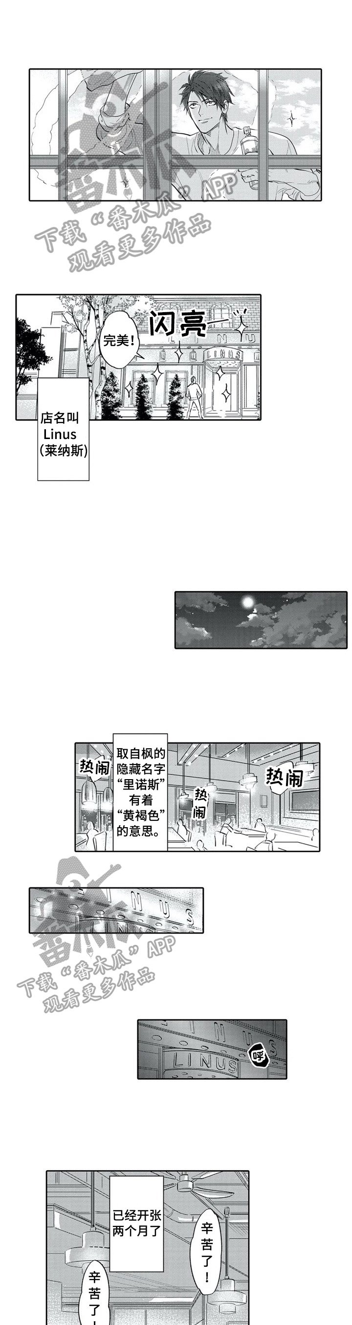 第16章：视频通话