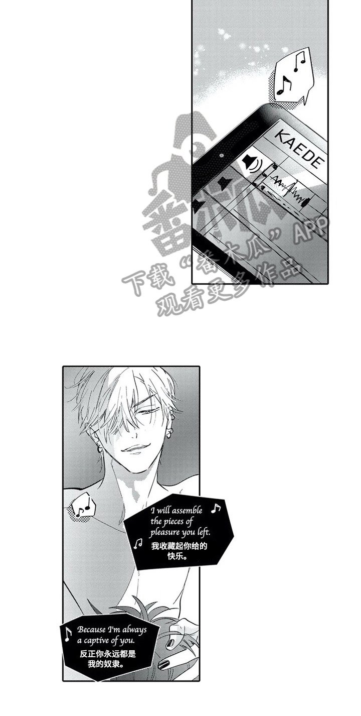 第29章：带回家