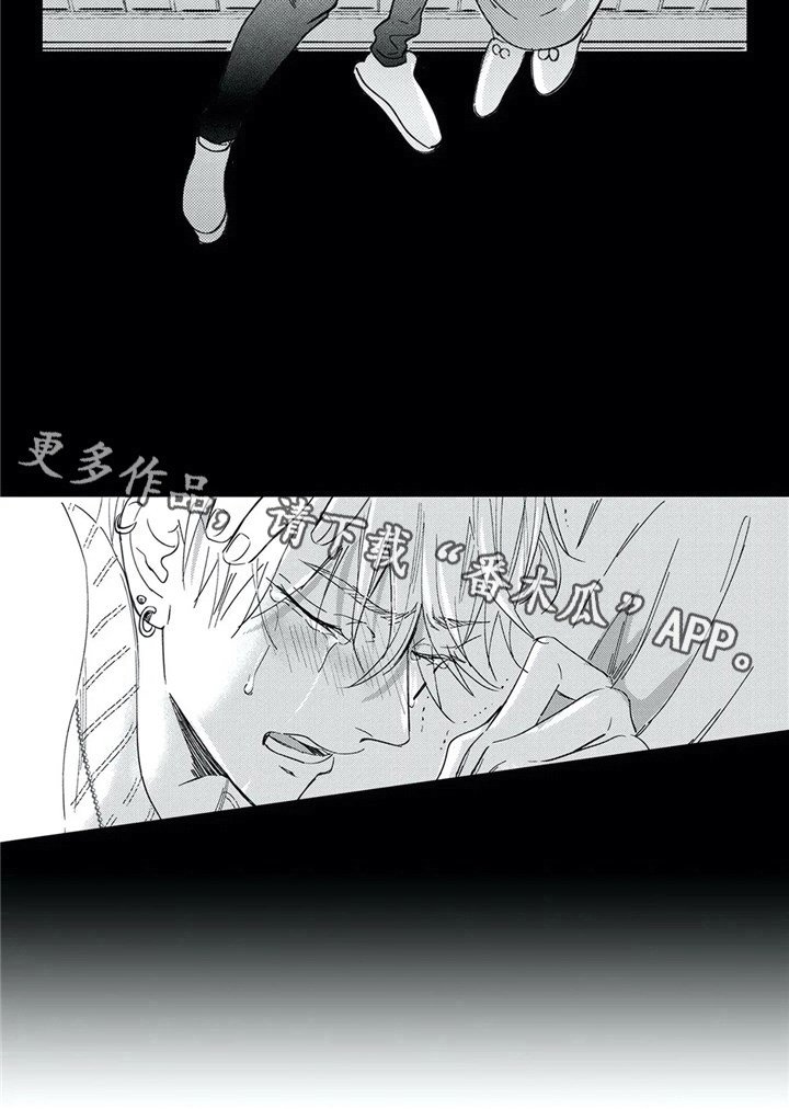 第29章：带回家