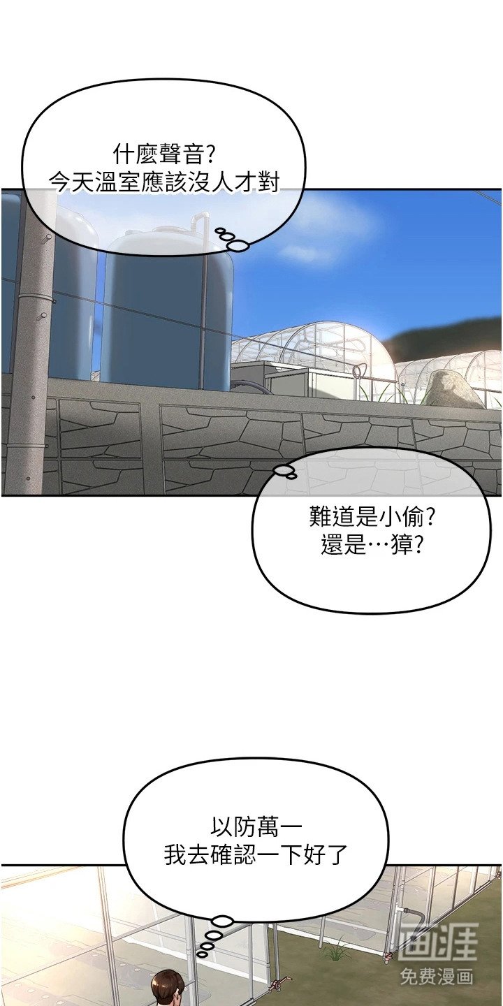 第14章：幻想