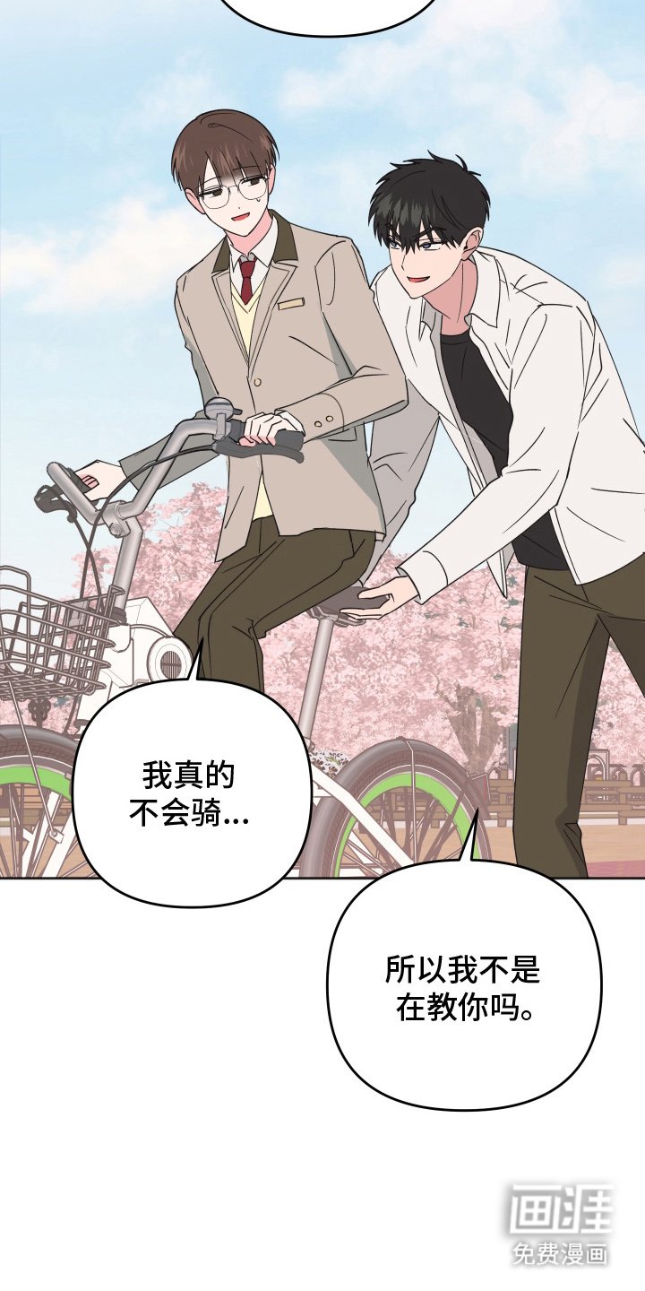 第9章：自行车