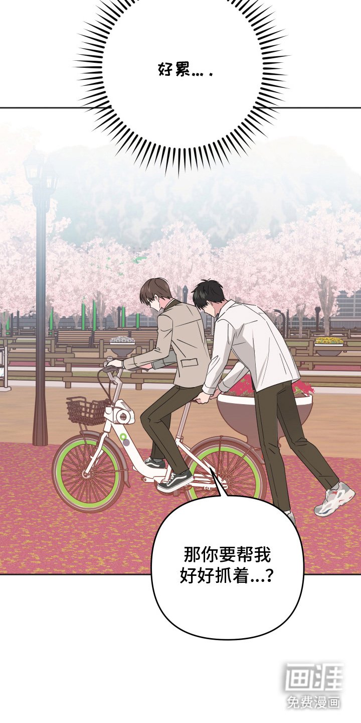 第9章：自行车