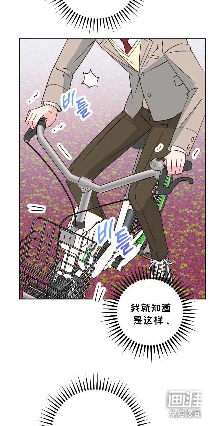 第9章：自行车