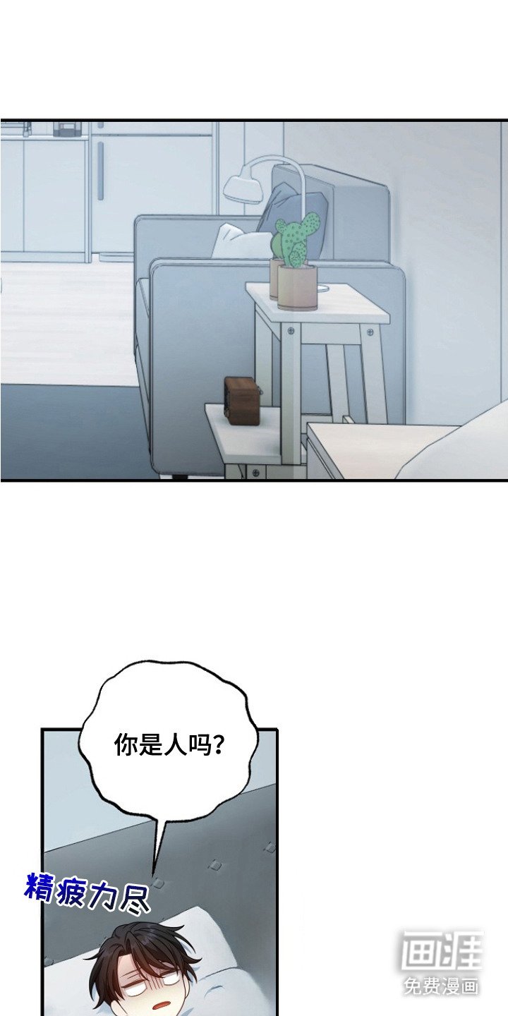 第3章：很特别