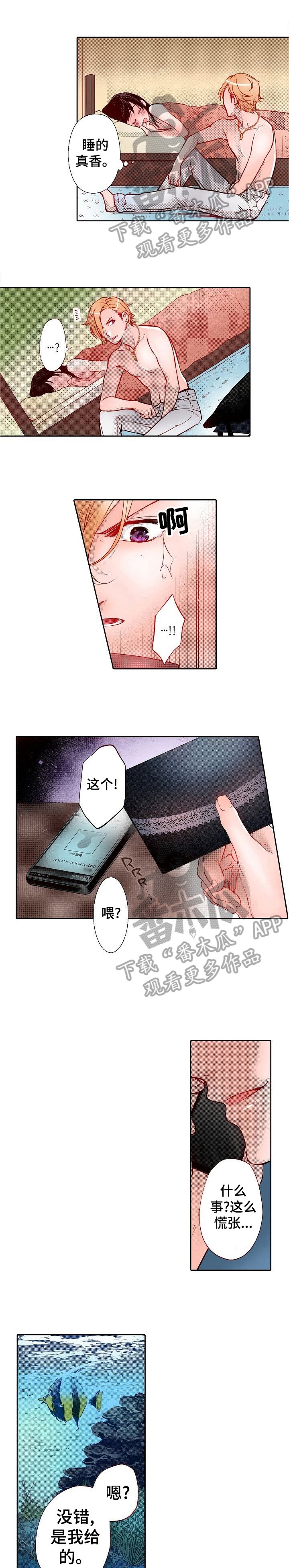 第18章：质问