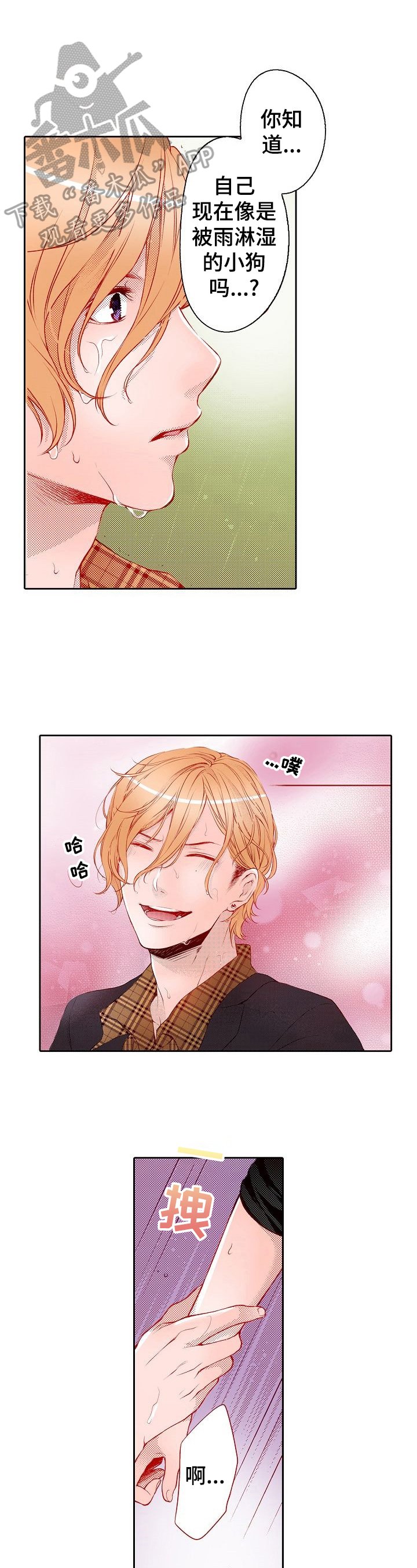 第25章：可以期待吗