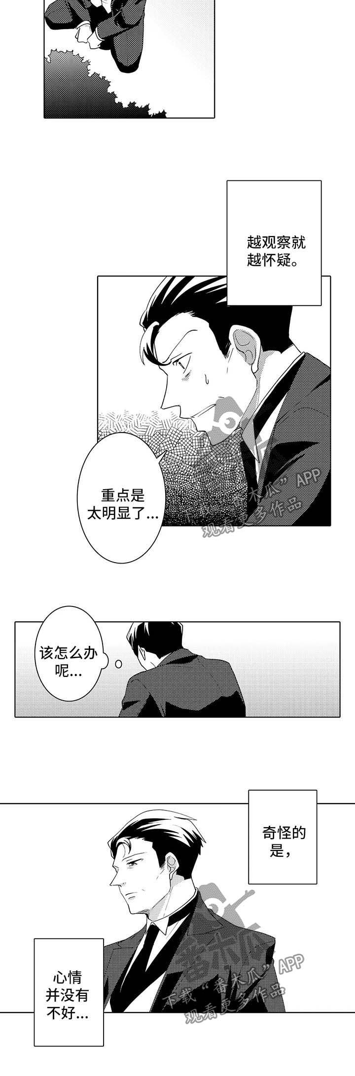 第34章：观察