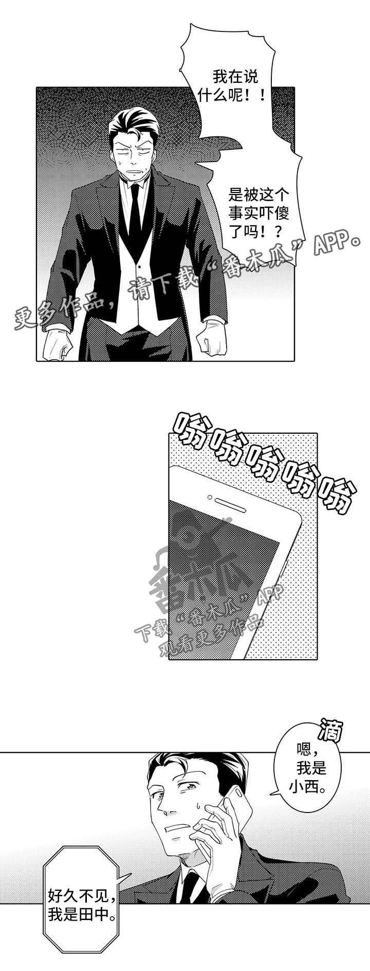 第34章：观察