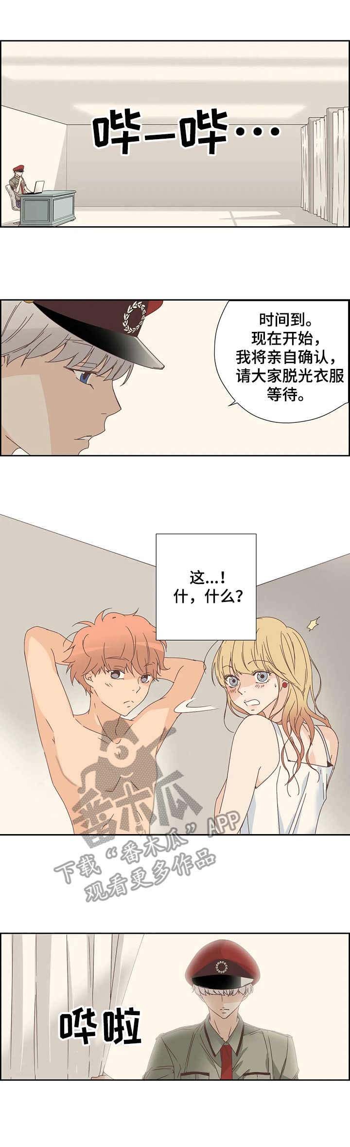 第15章：检查