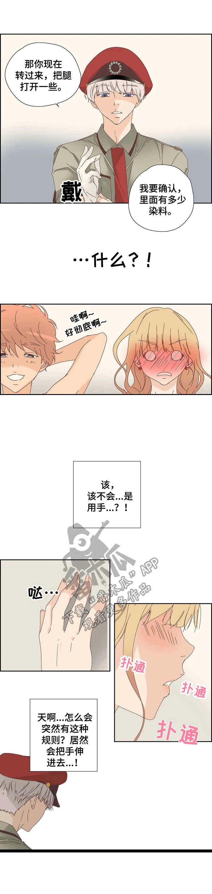 第15章：检查
