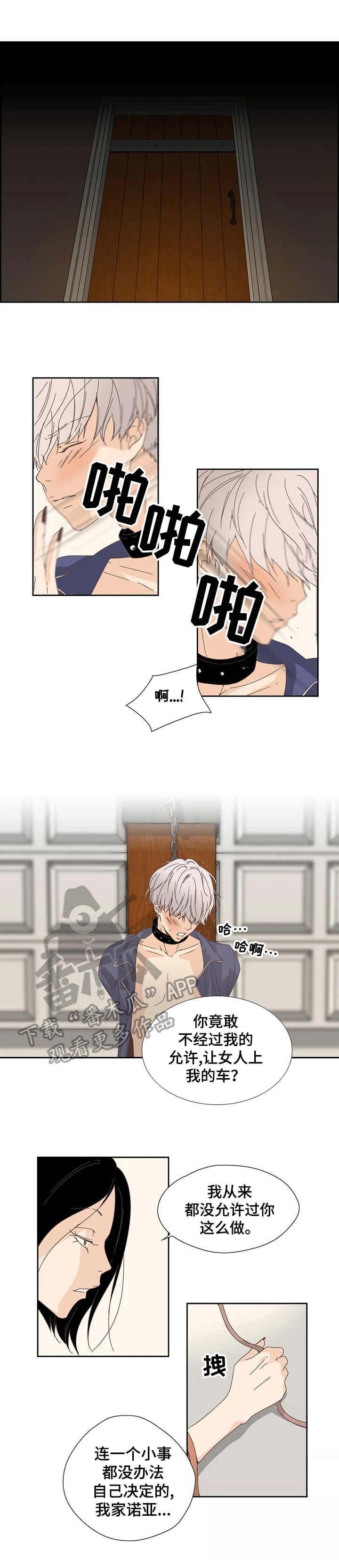 第20章：处罚